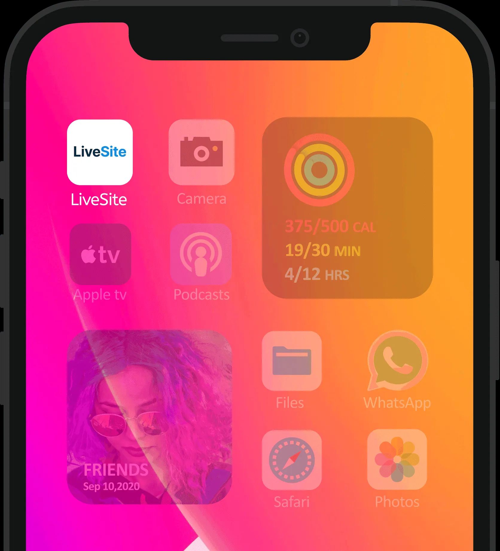LiveSite app on iPhone home screen